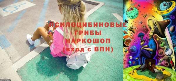 крисы Алзамай