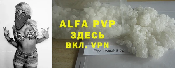 крисы Алзамай