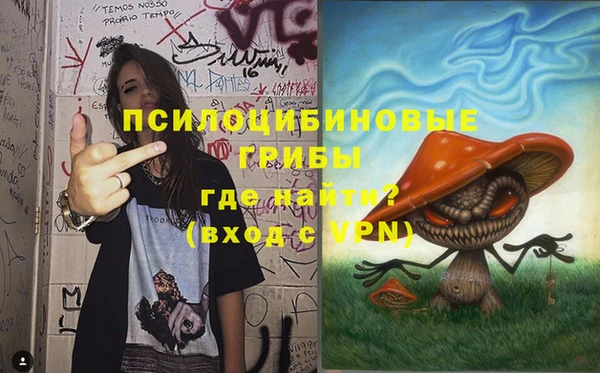 крисы Алзамай